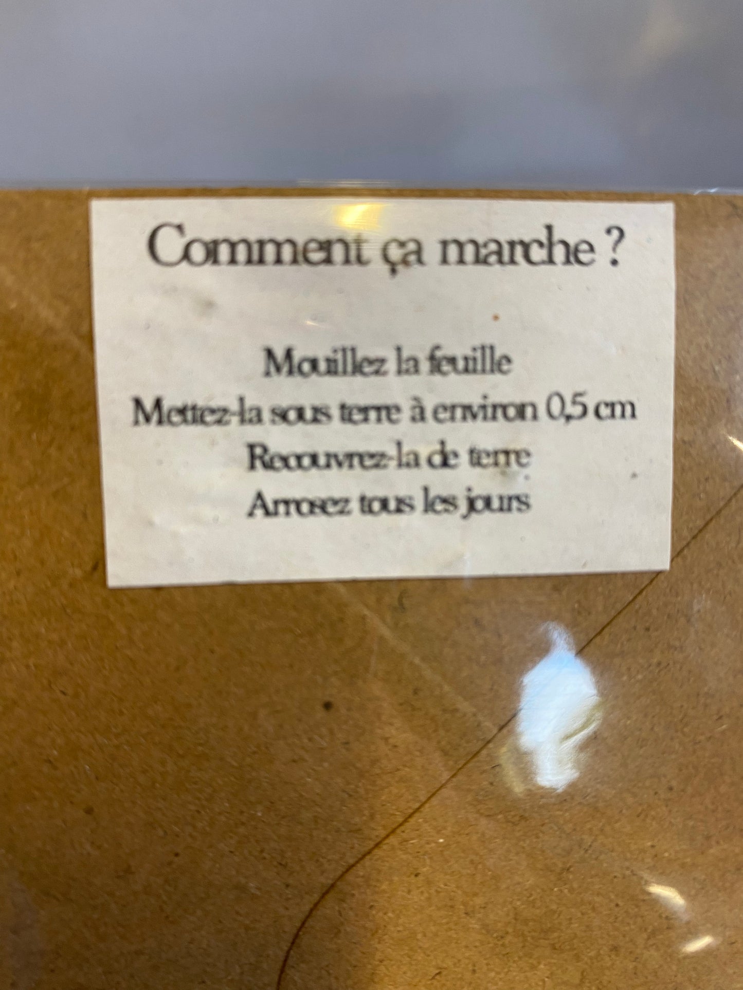 Carte à planter. Joyeux anniversaire. Fleur violette